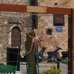 Crete_octopus